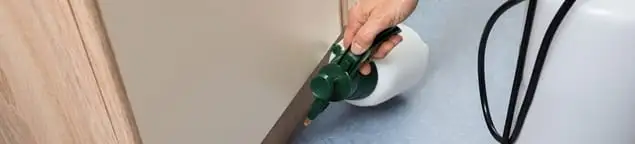 Bed bug exterminator treating baseboards and cracks with targeted spray in Fort Lauderdale, FL