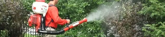 Mosquito control technician fogging shrubs and landscaping for mosquito treatment in Fort Lauderdale, FL