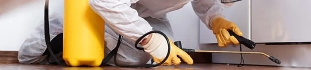 Roach exterminator treating cracks and crevices along kitchen baseboards in Fort Lauderdale, FL