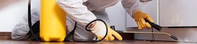 Roach exterminator treating cracks and crevices along kitchen baseboards in Fort Lauderdale, FL
