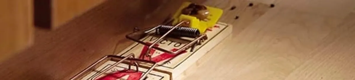 Rodent trap set indoors for rodent control and prevention in Fort Lauderdale, FL