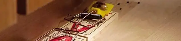 Rodent trap set indoors for rodent control and prevention in Fort Lauderdale, FL